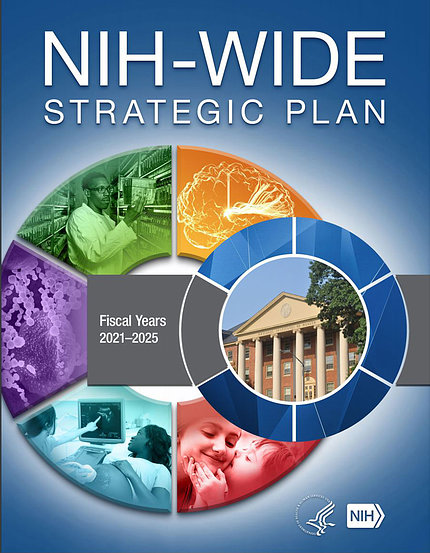 strategic plan for trans nih research to cure hepatitis b